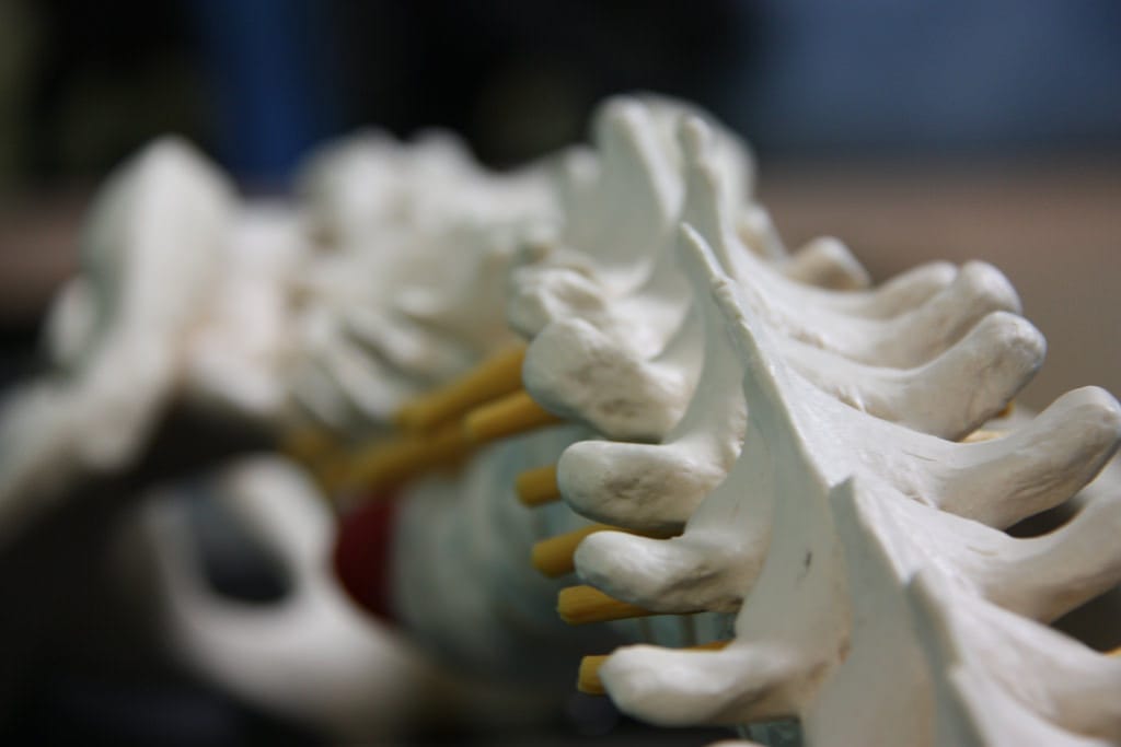 Spinal Screenings Ocon Family Chiropractic